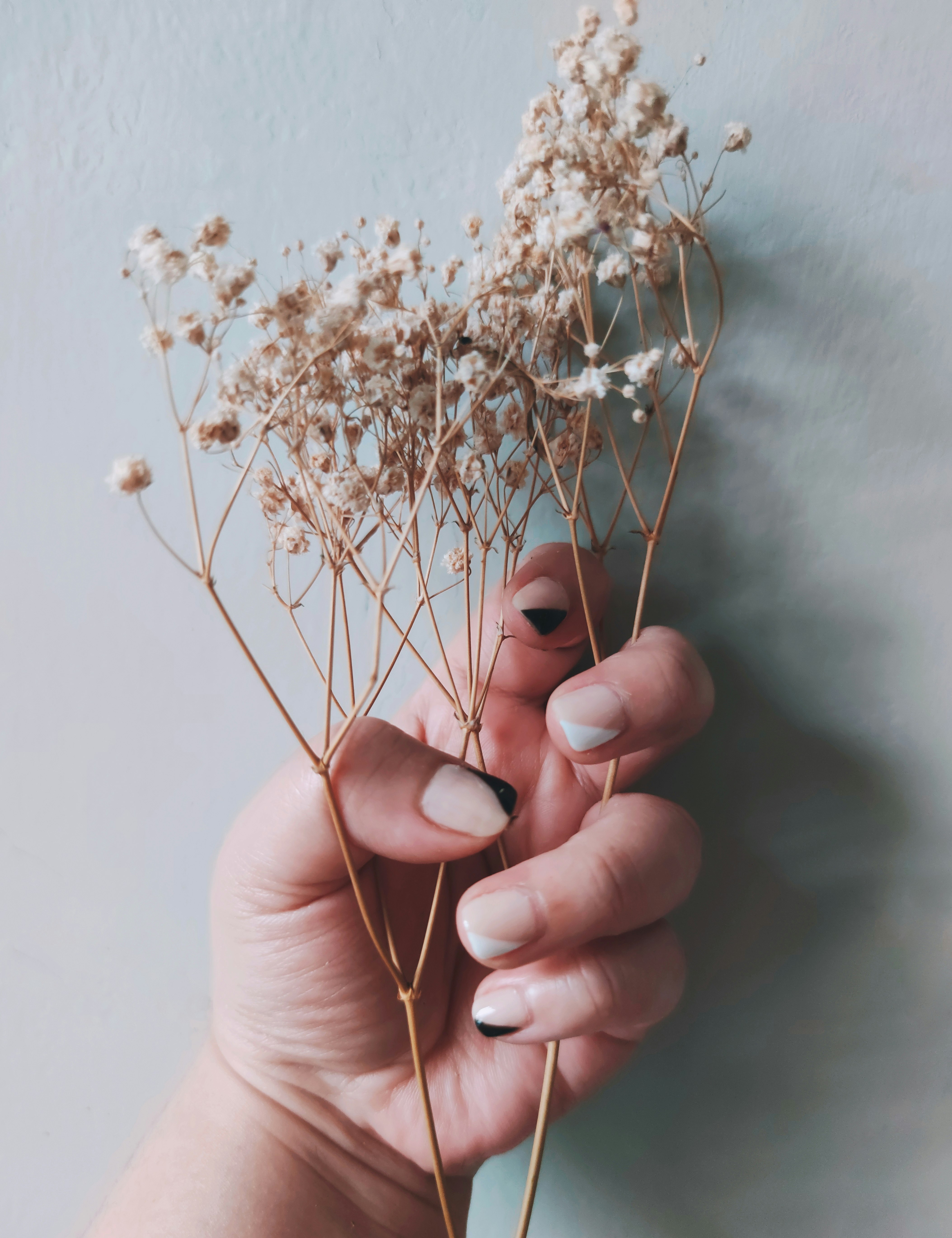 person holding white flower buds